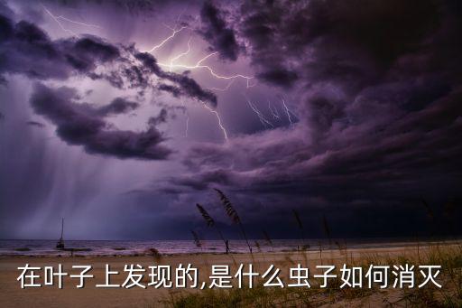 在葉子上發現的,是什么蟲子如何消滅