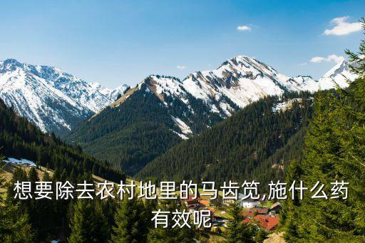 什么農藥能把莧菜要死