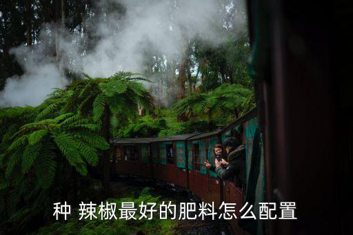 陽臺種辣椒用什么農藥,辣椒用什么農藥比較好