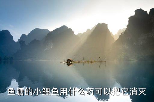 什么農藥能治魚,藥魚用什么農藥最好無毒