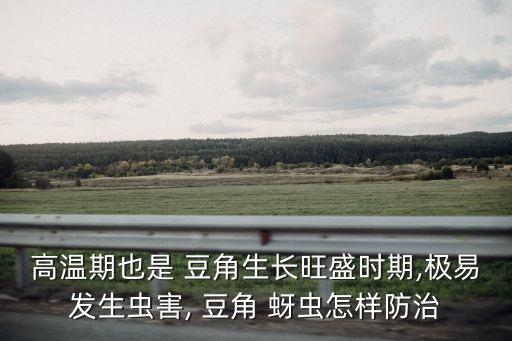 高溫期也是 豆角生長(zhǎng)旺盛時(shí)期,極易發(fā)生蟲害, 豆角 蚜蟲怎樣防治