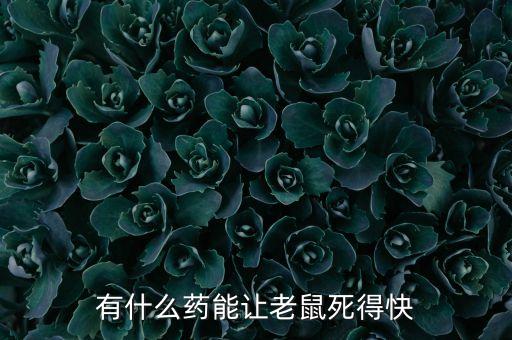 有什么藥能讓老鼠死得快