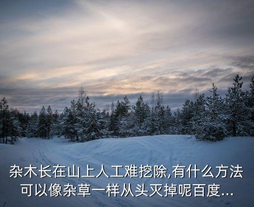 雜木長在山上人工難挖除,有什么方法可以像雜草一樣從頭滅掉呢百度...