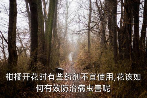 柑橘開花時有些藥劑不宜使用,花該如何有效防治病蟲害呢