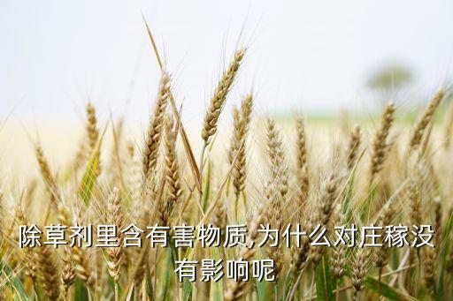 除草劑里含有害物質,為什么對莊稼沒有影響呢