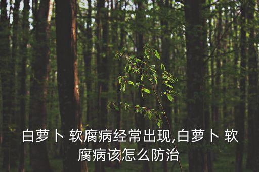 什么是軟腐病用什么農(nóng)藥