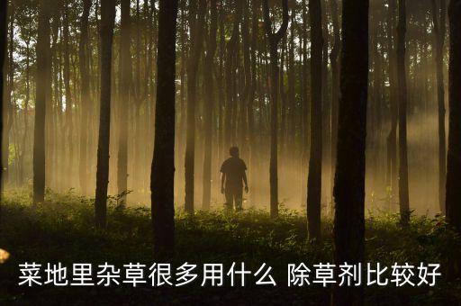 什么農(nóng)藥除草不傷蔬菜,冬天用什么農(nóng)藥除草