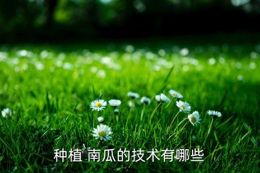 南瓜要打什么農(nóng)藥,南瓜打農(nóng)藥多嗎