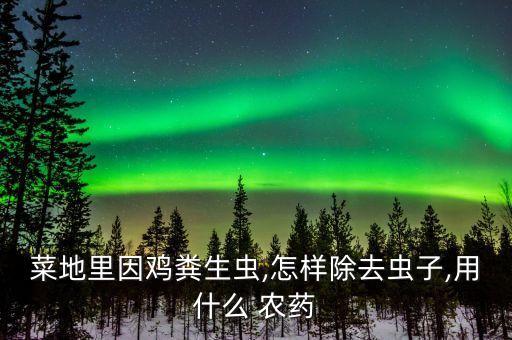 菜地里因雞糞生蟲,怎樣除去蟲子,用什么 農藥