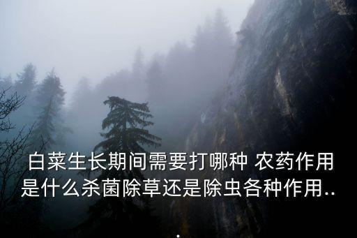 白菜什么時候打農藥,白菜需要打農藥嗎