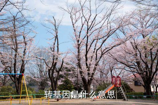 轉基因是什么意思