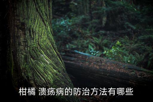 柑橘 潰瘍病的防治方法有哪些