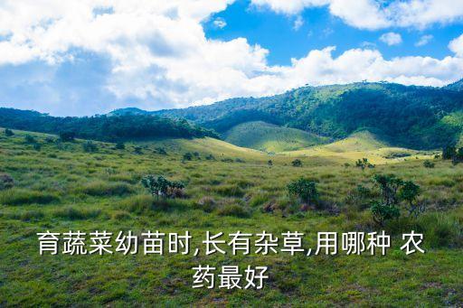 什么農藥能死草而不死菜