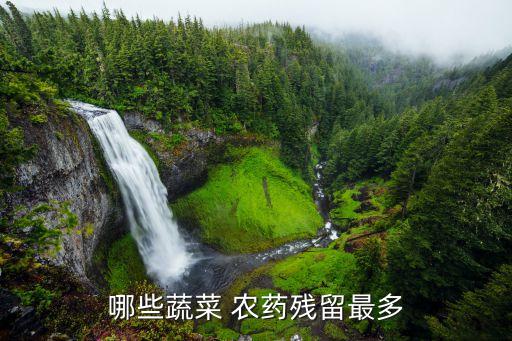 為什么早晨玩農藥人少