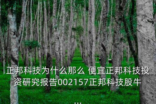 正邦科技為什么那么 便宜正邦科技投資研究報告002157正邦科技股牛...