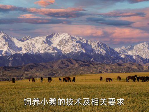 小鵝吃農藥有什么好處