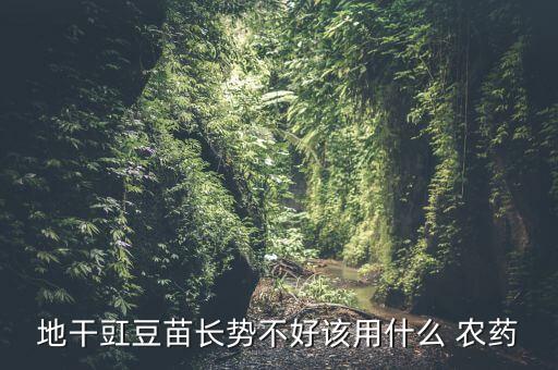 拌豆種用什么農(nóng)藥