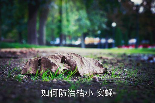 如何防治桔小 實蠅