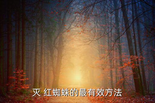 什么農(nóng)藥打紅蜘蛛最有效,打紅蜘蛛的農(nóng)藥