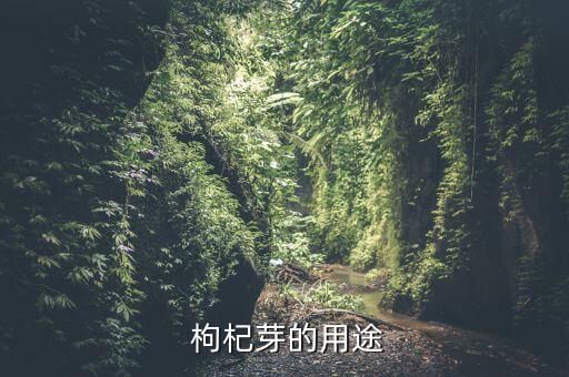 枸杞葉起泡噴灑什么農(nóng)藥
