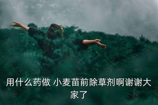 用什么藥做 小麥苗前除草劑啊謝謝大家了