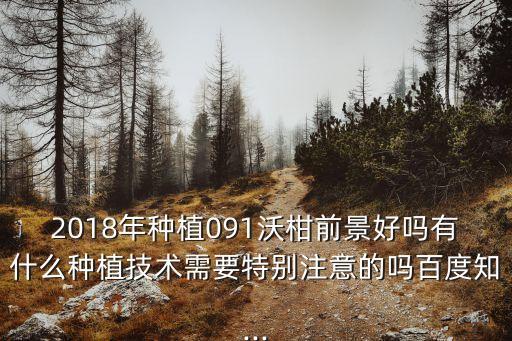 2018年種植091沃柑前景好嗎有什么種植技術需要特別注意的嗎百度知...