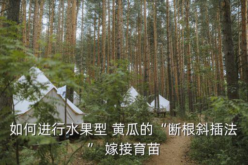 黃瓜嫁接前后應施什么農藥