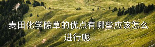 麥田噴什么農藥,夢見給麥田打農藥