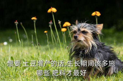 想要 土豆增產的話,生長期間該多施哪些 肥料才最好