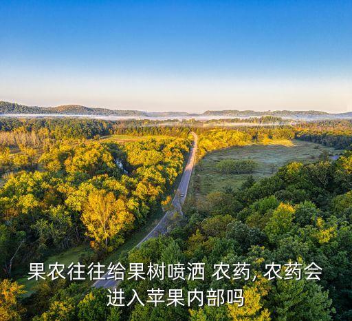 農藥濺到是什么成分,玉米伴侶農藥成分是什么