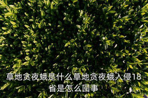 草地貪夜蛾是什么草地貪夜蛾入侵18省是怎么回事