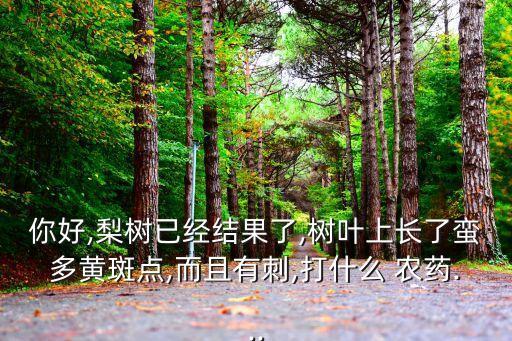 你好,梨樹已經(jīng)結(jié)果了,樹葉上長了蠻多黃斑點,而且有刺,打什么 農(nóng)藥...