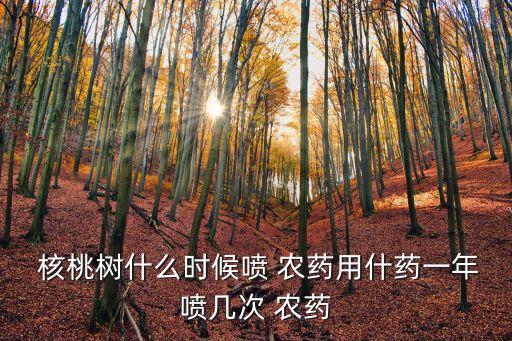 核桃用什么農藥泡,雙氧水泡核桃有什么效果