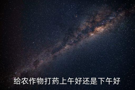 白菜什么時候打農藥,一天什么時候打農藥比較好