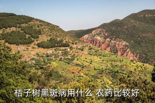 桔子樹黑斑病用什么 農藥比較好