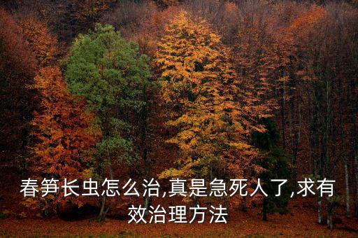 春筍長蟲怎么治,真是急死人了,求有效治理方法