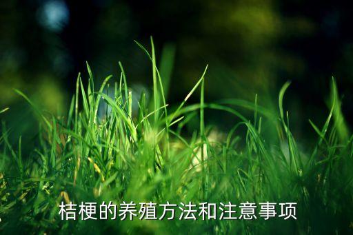 桔梗用什么農藥除草,什么農藥除草效果最好