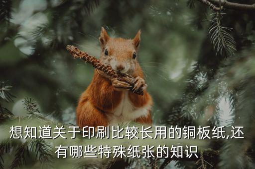 想知道關(guān)于印刷比較長用的銅板紙,還有哪些特殊紙張的知識