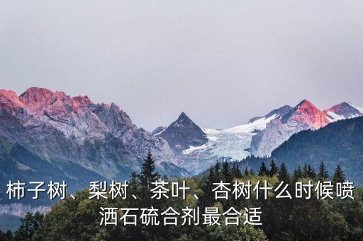 柿子樹、梨樹、茶葉、杏樹什么時候噴灑石硫合劑最合適