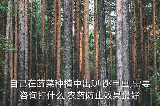 自己在蔬菜種植中出現(xiàn) 跳甲蟲,需要咨詢打什么 農(nóng)藥防止效果最好