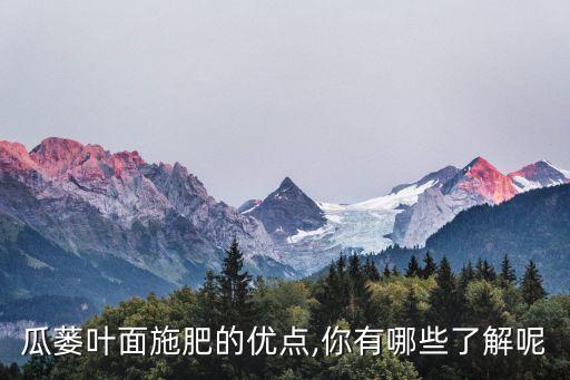 瓜蔞葉面施肥的優點,你有哪些了解呢