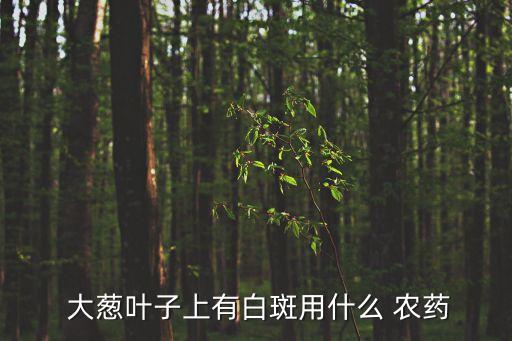 大蔥生病打什么農藥,大蔥需要打農藥嗎