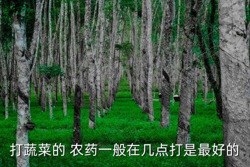 打蔬菜的 農藥一般在幾點打是最好的