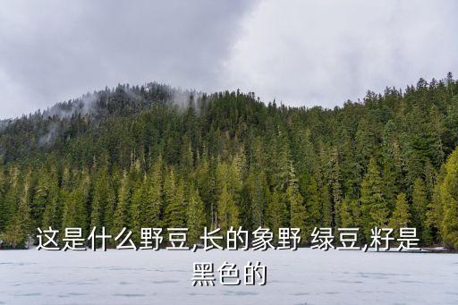 這是什么野豆,長(zhǎng)的象野 綠豆,籽是黑色的
