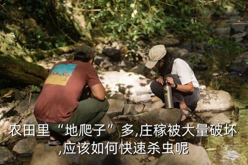 土地挖翻后打什么農藥