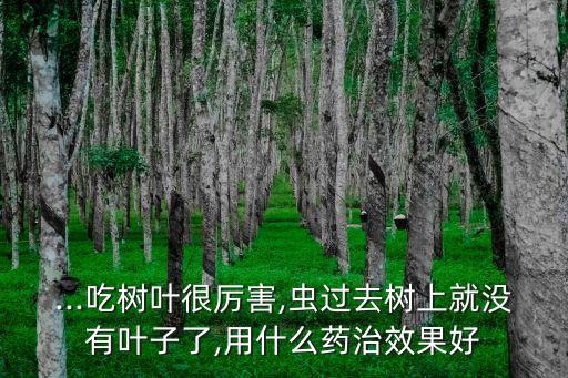 什么農藥殺死楊樹蟲子快,殺死楊樹的最好最快的農藥