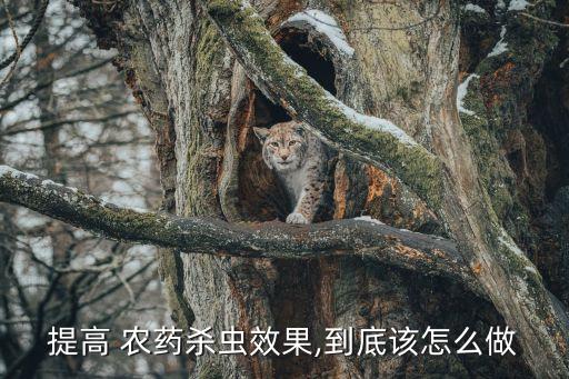 什么對農藥有增效作用,粒粒飽農藥有什么作用