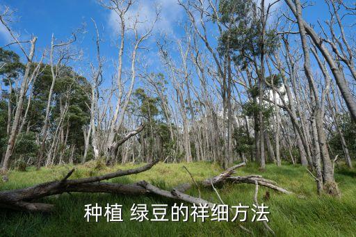 種植 綠豆的祥細方法