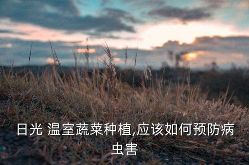 溫室打農藥用什么機器好,噴灑農藥的機器叫什么