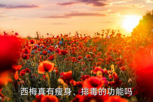 西梅真有瘦身、排毒的功能嗎